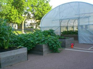 Garden and Greenhouse